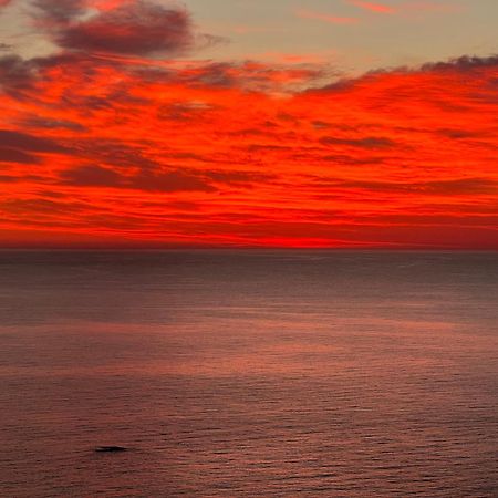 Villa Sa Calma Begur Dış mekan fotoğraf