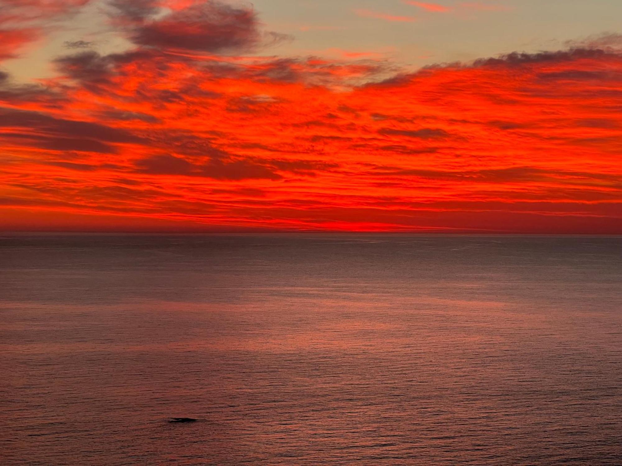 Villa Sa Calma Begur Dış mekan fotoğraf